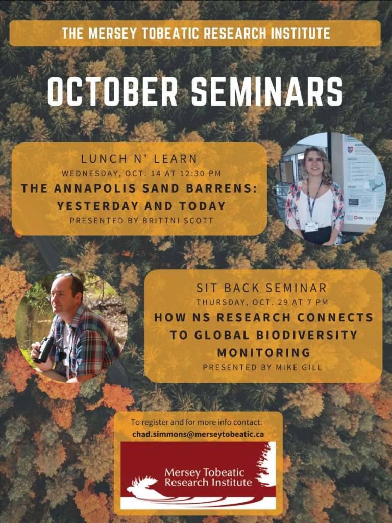 MTRI October 2020 Online Seminars