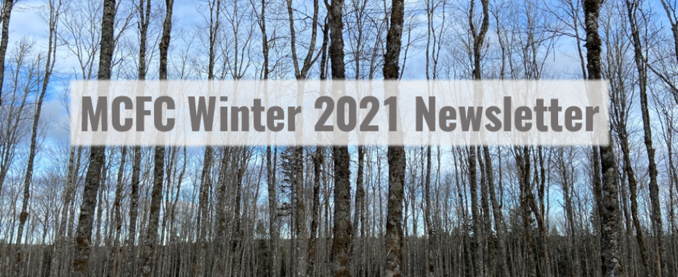 Medway Community Forest Co-op Winter 2021