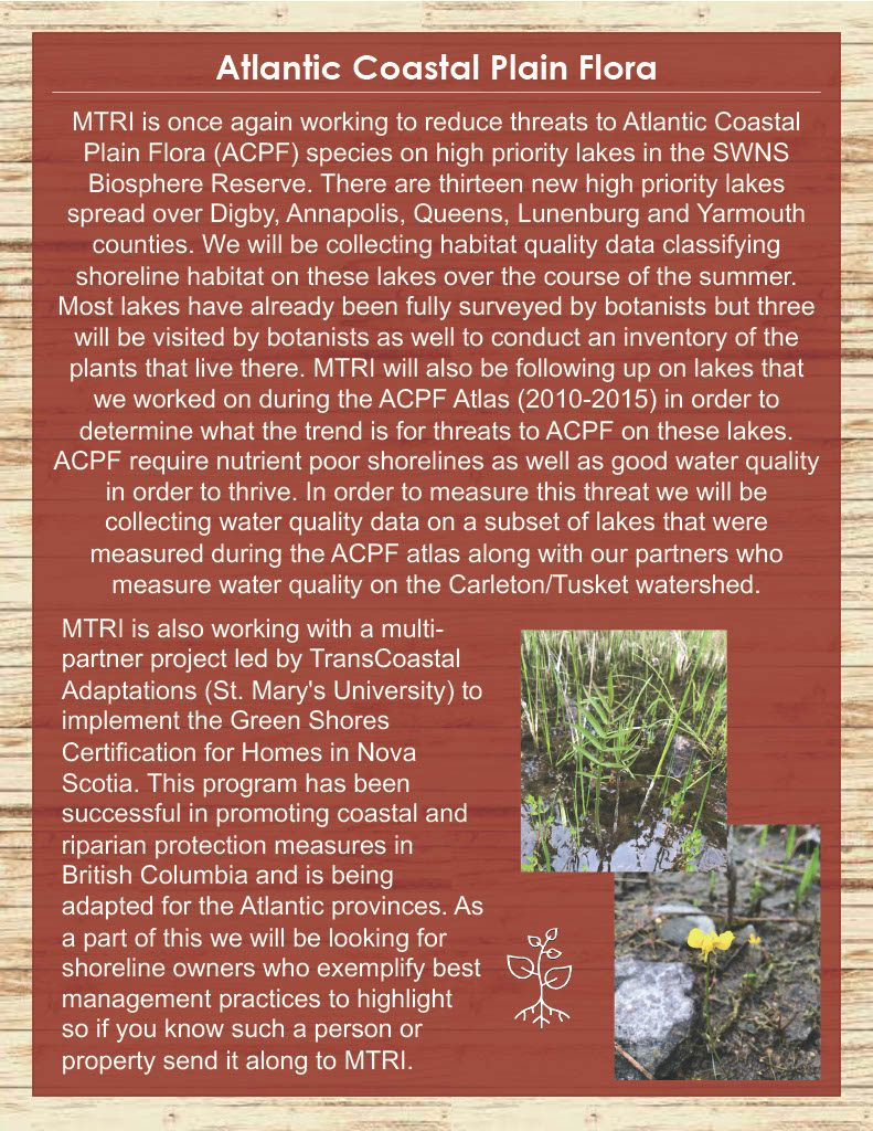 MTRI Summer Newsletter, Page 5, Atlantic Coastal Plain Flora