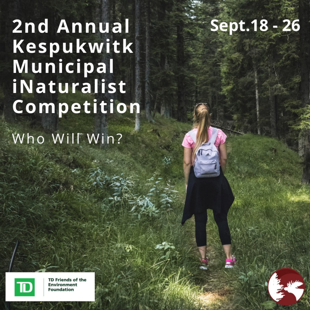Second Annual Kepulwitk Municipal iNaturalist Competition