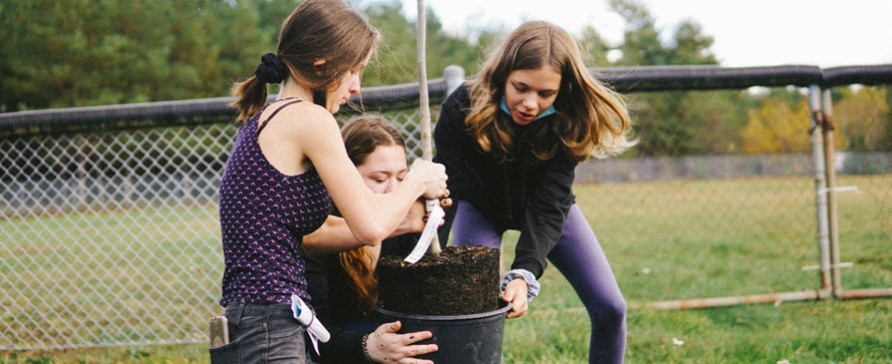 Tree planting with the North Queens Community School (NQCS) at Harmony Park in Caledonia - October, 2021.