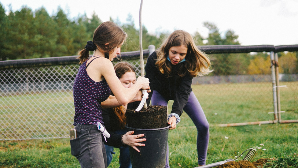Tree planting with the North Queens Community School (NQCS) at Harmony Park in Caledonia - October, 2021.