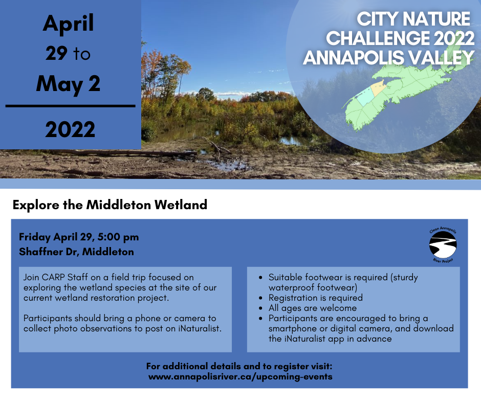 April 29 - May 2, 2022: Explore the Middleton Wetland