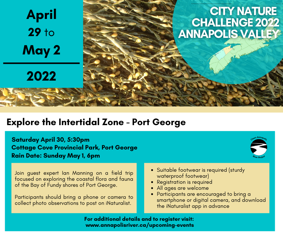 April 29 to May 2, 2022: Explore the Intertidal Zone - Port George