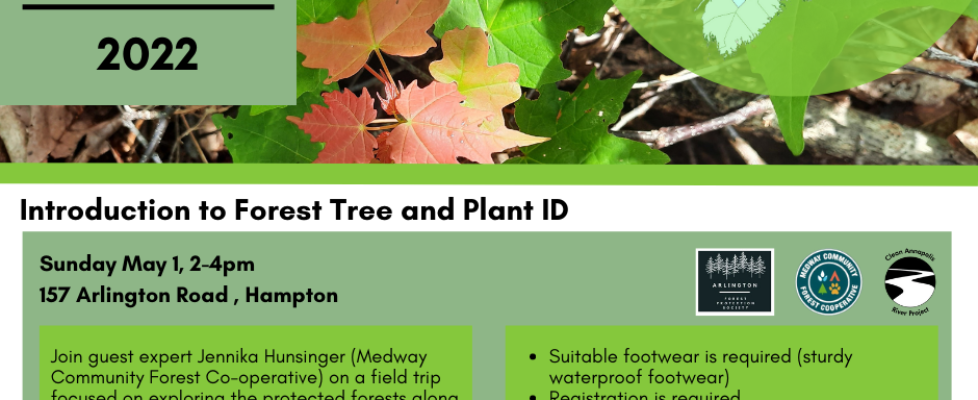 May 1, 2-4pm: Introduction to Forest Tree and Plant ID