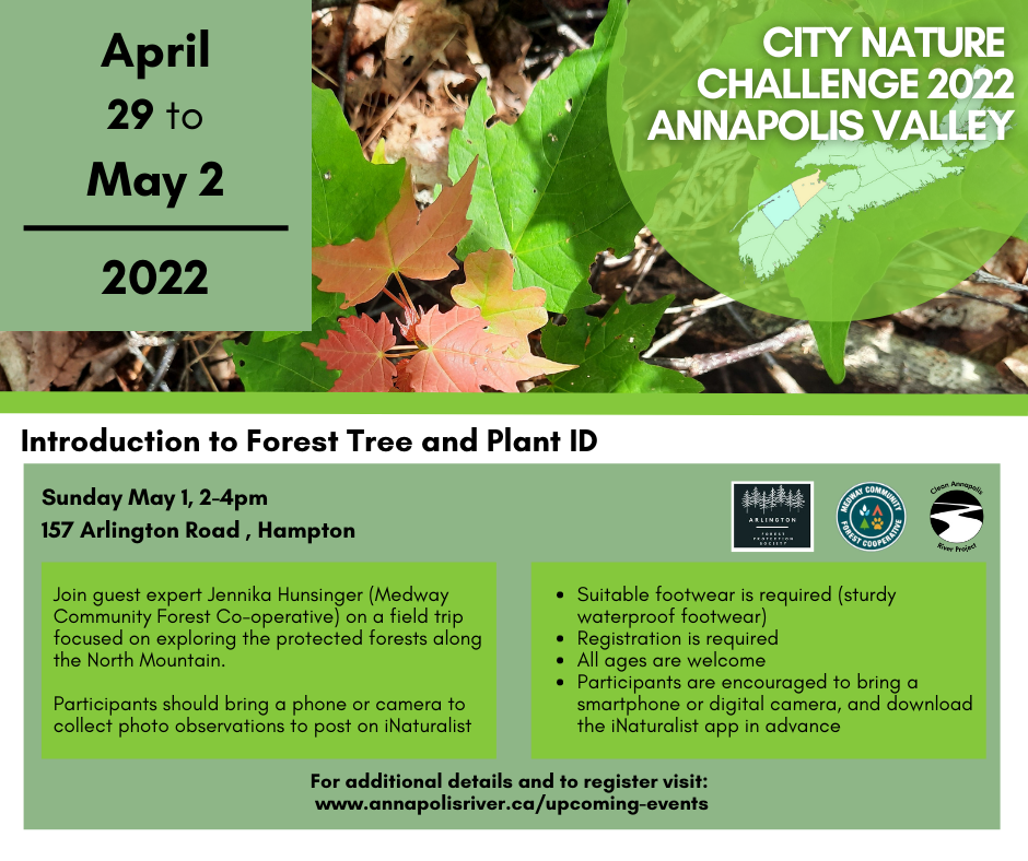 May 1, 2-4pm: Introduction to Forest Tree and Plant ID