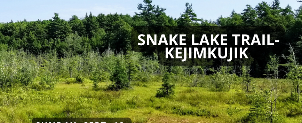 Snake Lake trail in Kejimkujik National Park