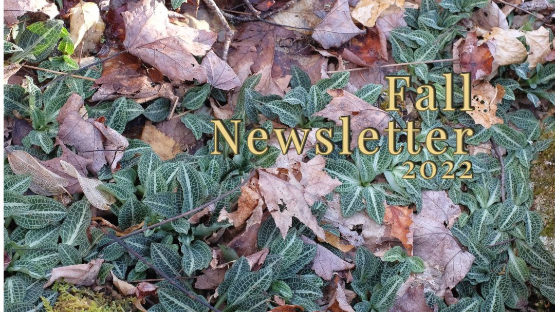 Mersey Community Forest Co-op, Fall 2022 Newsletter