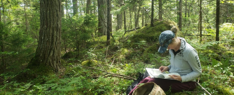 Collecting Old Growth Forest Data, Annapolis & Queens County, NS
