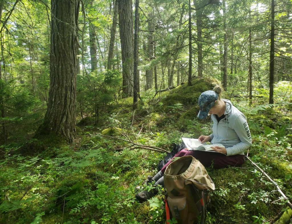 Collecting Old Growth Forest Data, Annapolis & Queens County, NS