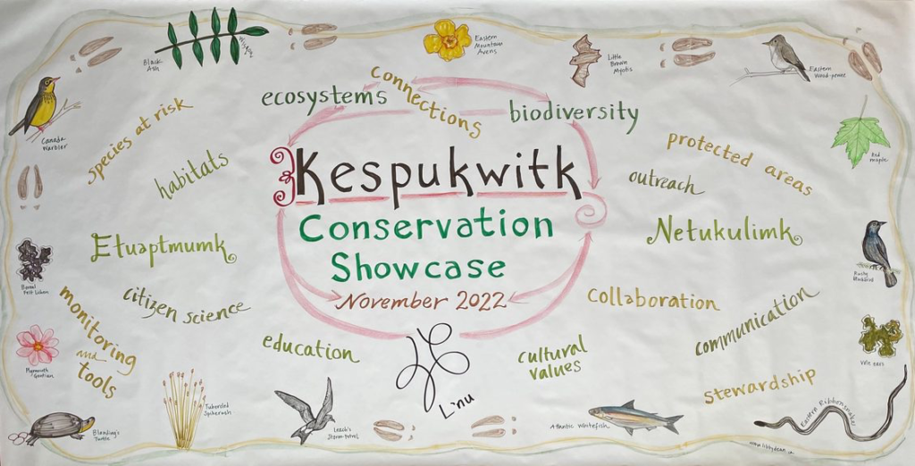 Kespukwitk Conservation Showcase