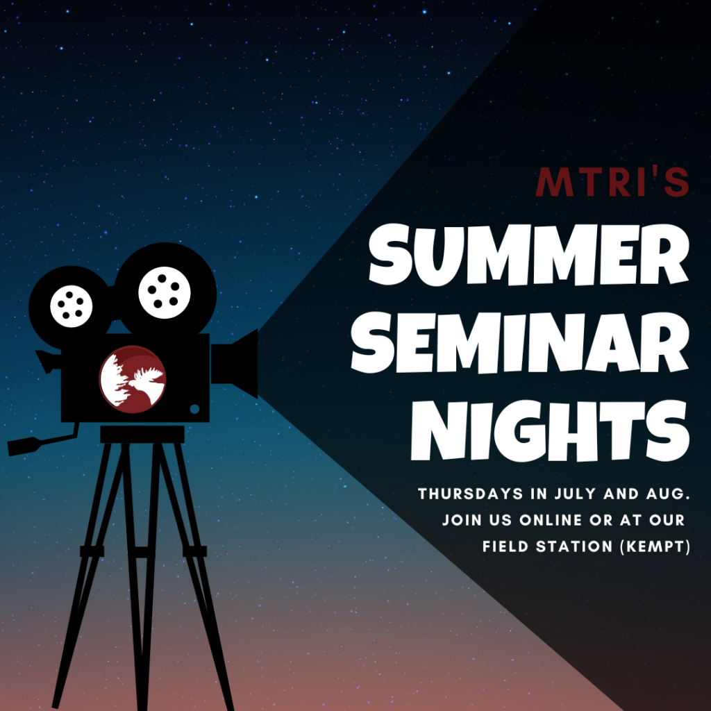 Summer Seminar Series 