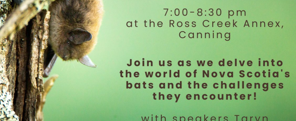 Let's Talk Bats, June 15, Ross Creek Annex, Canning