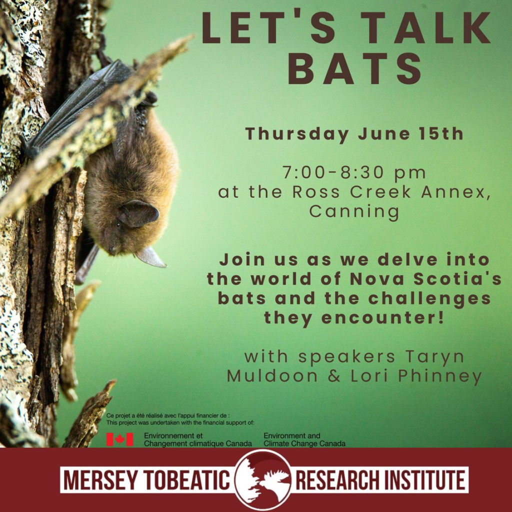 Let's Talk Bats, June 15, Ross Creek Annex, Canning