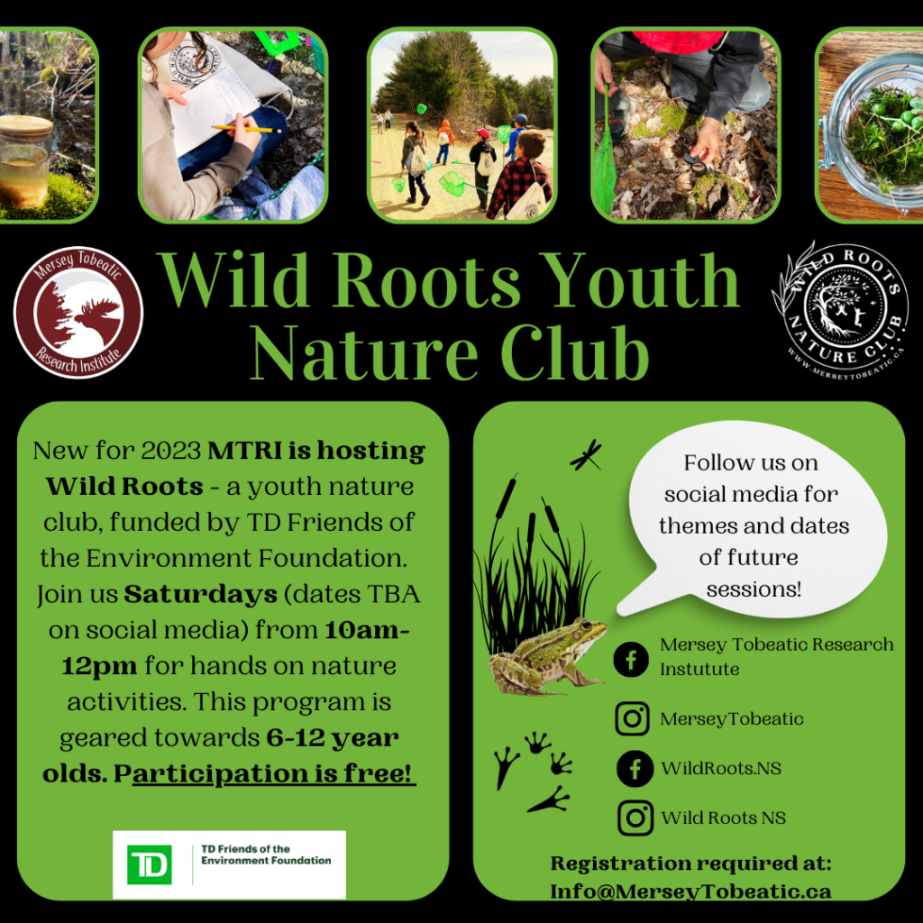 Launching Wild Roots Youth Nature Club!