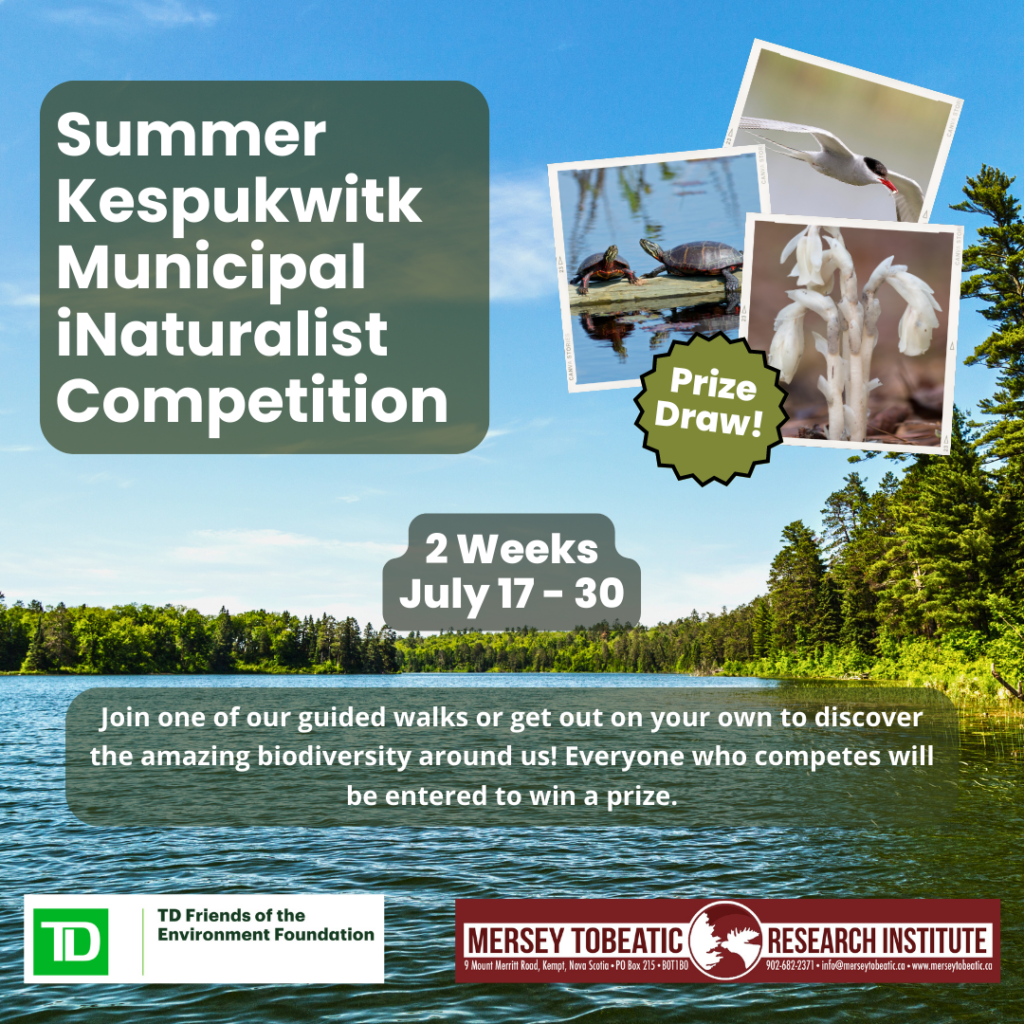 Summer Kespukwitk (Southwest Nova Scotia) Municipal iNaturalist Competition