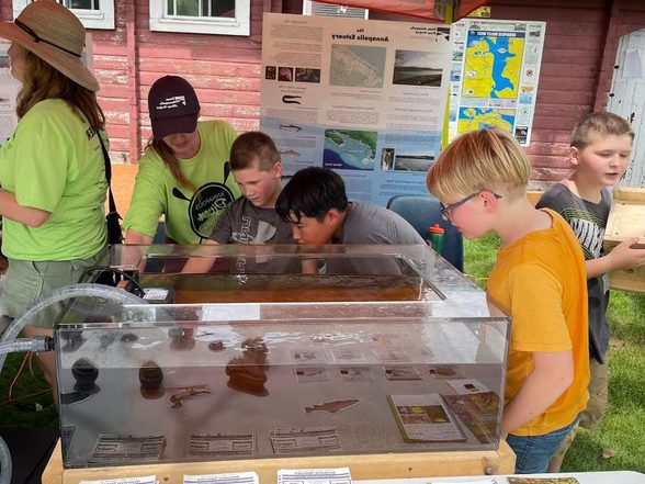Annapolis River Festival - kids study display