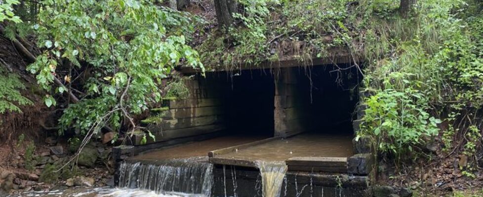 An example of a perched culvert