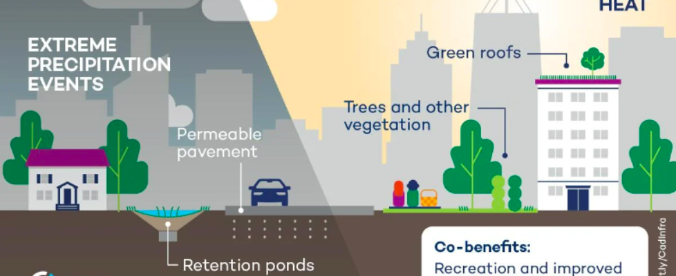 Urban Natural Infrastructure Solutions - Stormwater Management