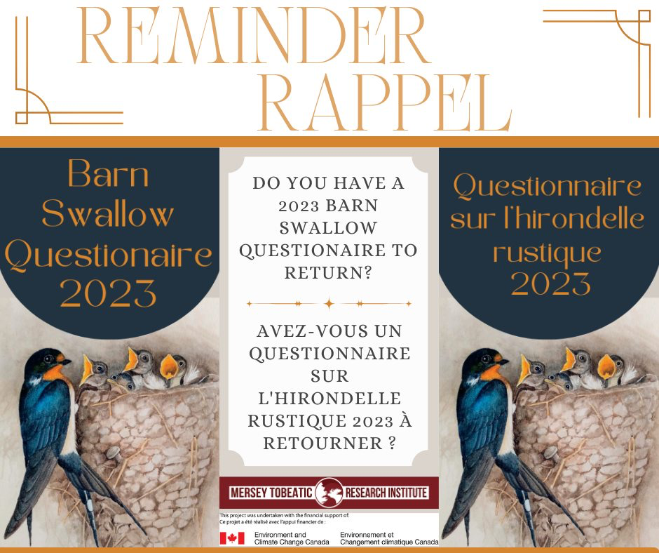Barn Swallow - Reminder Alert