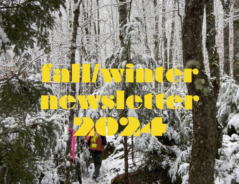 Medway Community Forest Cooperative Newsletter, Fall Winter 2024